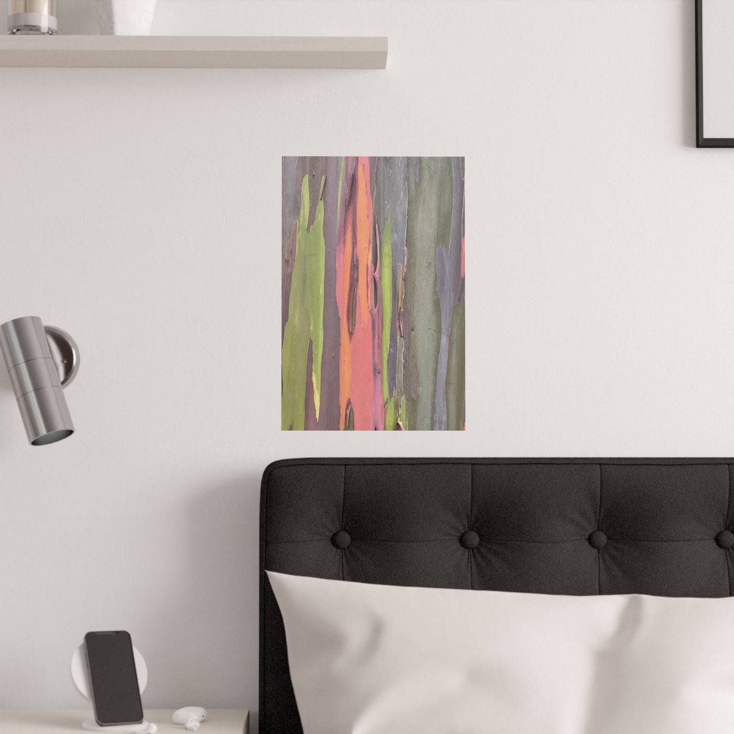 Poster - Rainbow Eucalyptus Tree View