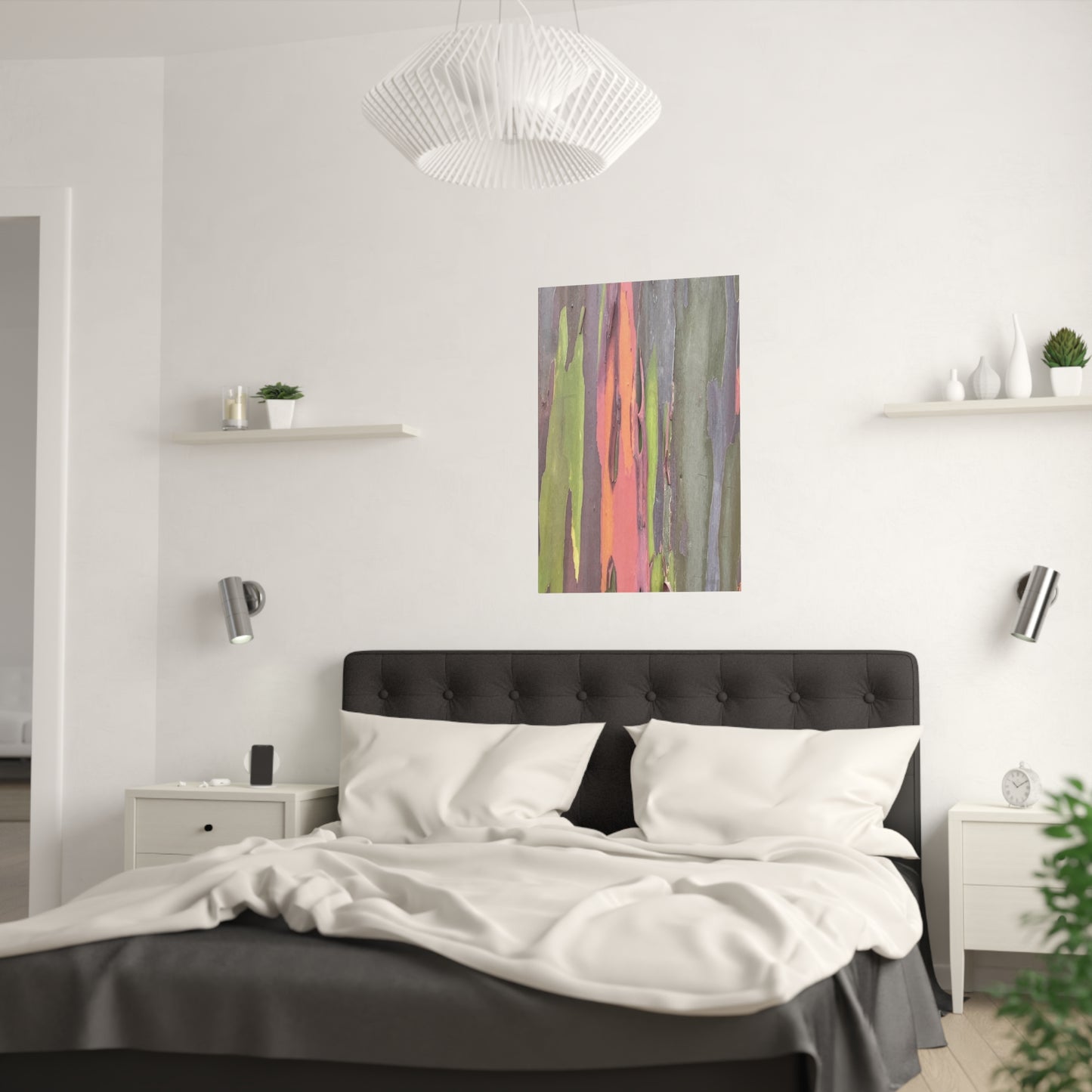 Poster - Rainbow Eucalyptus Tree View