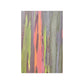 Poster - Rainbow Eucalyptus Tree View
