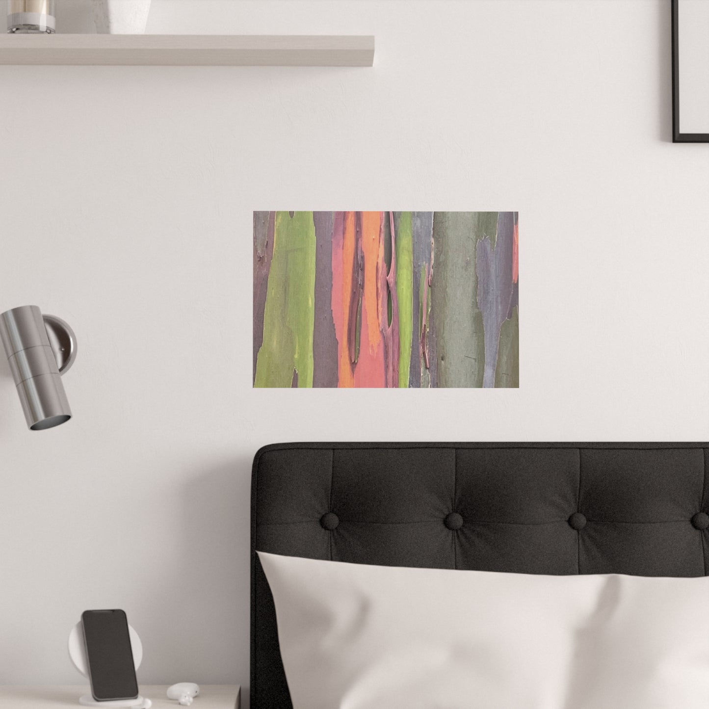 Poster - Rainbow Eucalyptus Tree View