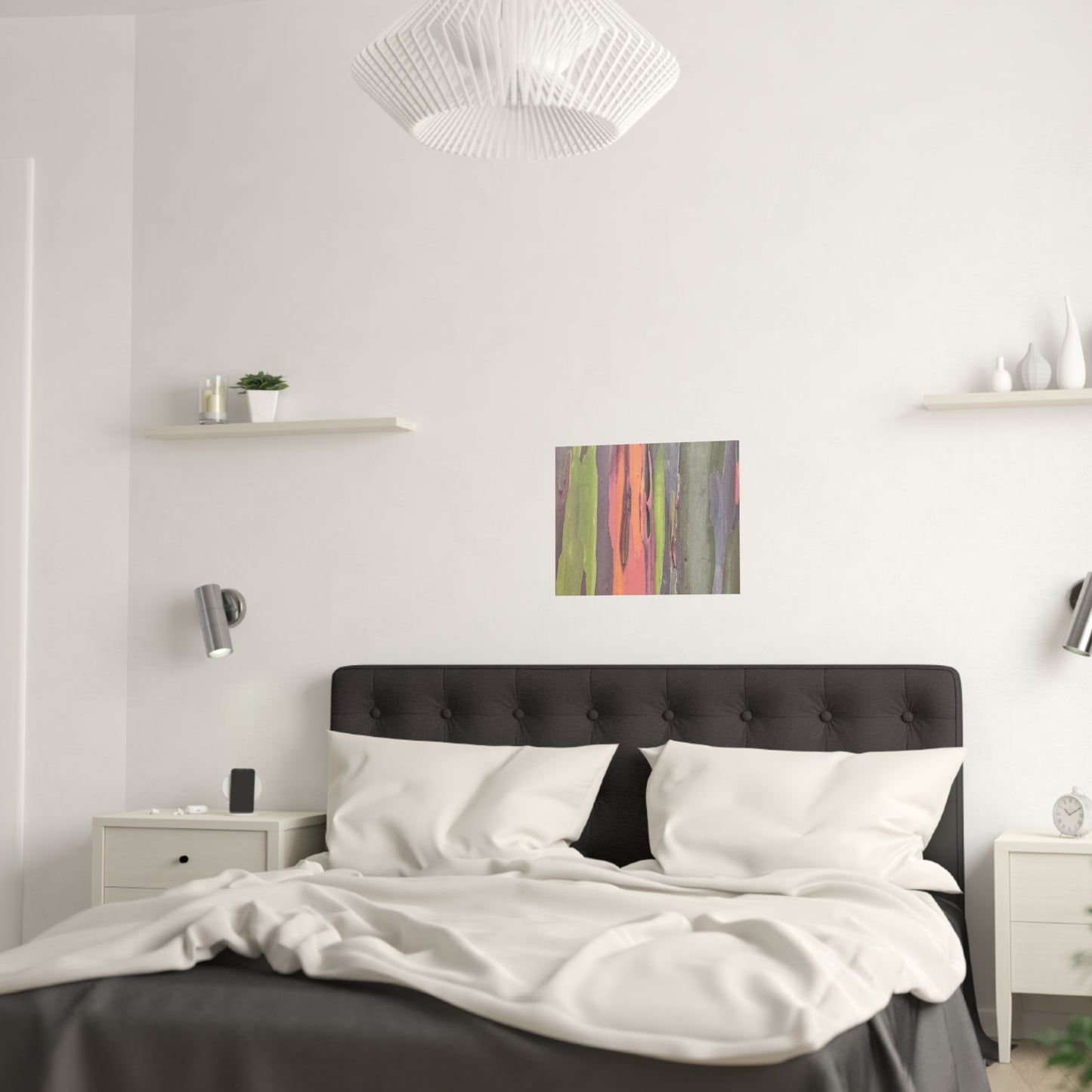 Poster - Rainbow Eucalyptus Tree View